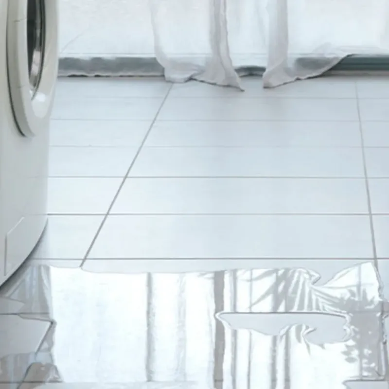 Appliance Leak Cleanup in Davenport, FL