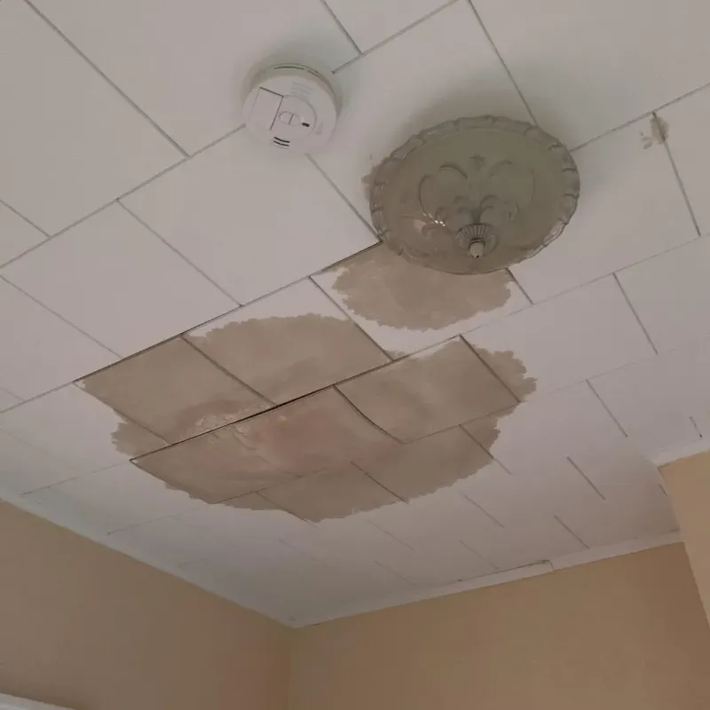 Ceiling Water Damage Repair in Davenport, FL